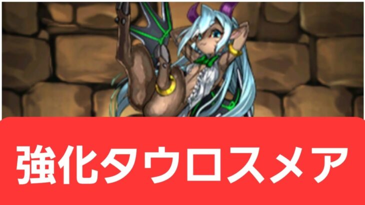 【パズドラ】強化タウロスメアが強すぎてヤバい！！【ぶっ壊れ】【最強】【人権】【環境1位】【新百式】【新千手】【新万寿】【新凶兆】