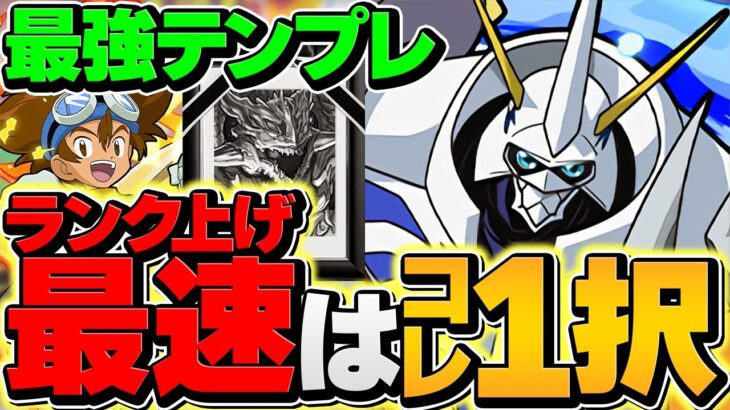 1周最速14分で1撃30億経験値！太一×オメガモンで十億チャレンジをぶっ壊す！ランク上げソロ最強編成【パズドラ】