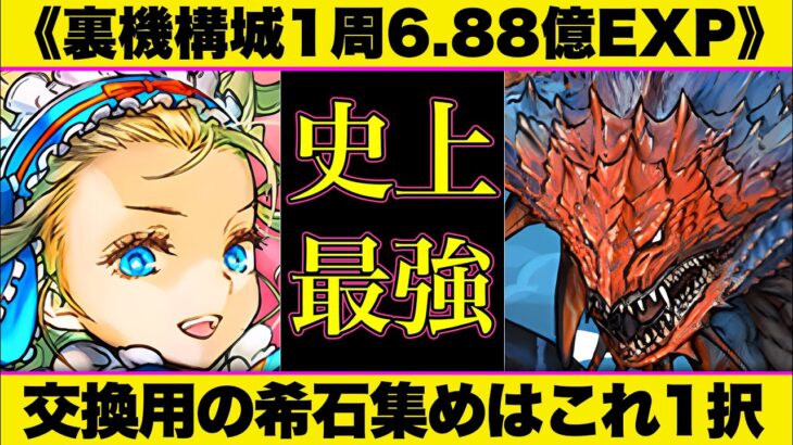 【裏機構城】1周6.88億EXP！最新版バレンタイン編成でランク上げ＆巨大希石集め！ほぼずらしで脳死度高め！【パズドラ】