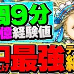 【ソロ最強】1周9分台で3.4億経験値！裏機構城をノアで周回しよう！バレノア所持者必見！【パズドラ】