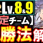 【固定チーム】最も楽な立ち回りがこちら!!2月のクエストダンジョン Lv8 Lv9攻略法を徹底解説!!魔法石をサクっとGETしよう!!【パズドラ】