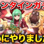 【パズドラ】バレンタインガチャ2025を新キャラとサクヤ狙いで引いたらついに…！？！？