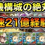 【パズドラ】2パターン！時速21億経験値！1周3.5億経験値！全敵対応！裏修羅の幻界！裏機構城の絶対者！ダンボ8！1周9~10分台！ノアループでランク上げ周回！【概要欄に立ち回りなど記載】