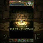 【パズドラ】2ヶ月振りに広告ガチャを引いてみた#shorts