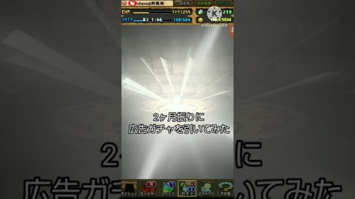 【パズドラ】2ヶ月振りに広告ガチャを引いてみた#shorts