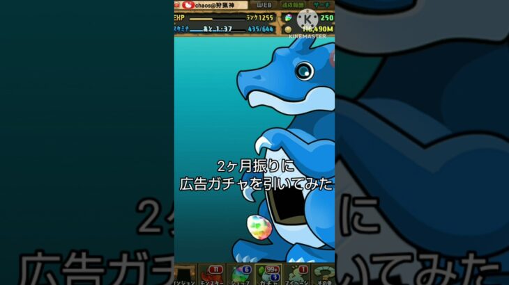 【パズドラ】2ヶ月振りに広告ガチャを引いてみた#shorts