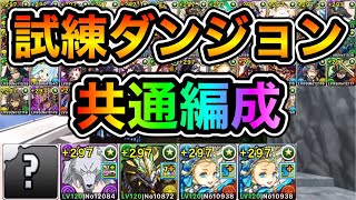 【パズドラ】最新版！ずっと使える？共通編成！合計46体対象！全敵対応！試練ダンジョン・西洋神・エジプト神・和神・中華神！試練の間！ほぼずらしで試練進化！【概要欄に立ち回りなど記載】