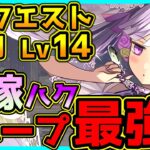 【パズドラ】嫁ハクループ最強！？　オール嫁ハクPTで2月クエスト Lv14挑んだ結果！？【クエダン】