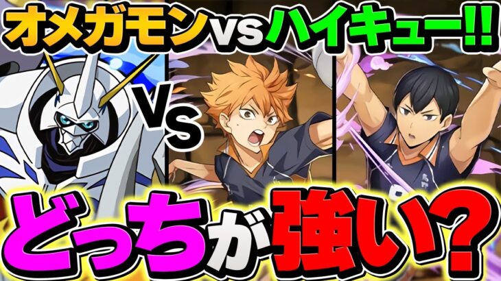 【環境1位】オメガモンvsハイキューコラボ！遂に時代が動きます！！！！！！！！！【パズドラ】