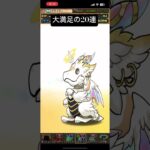 神器龍物語フェス20連 #パズドラガチャ