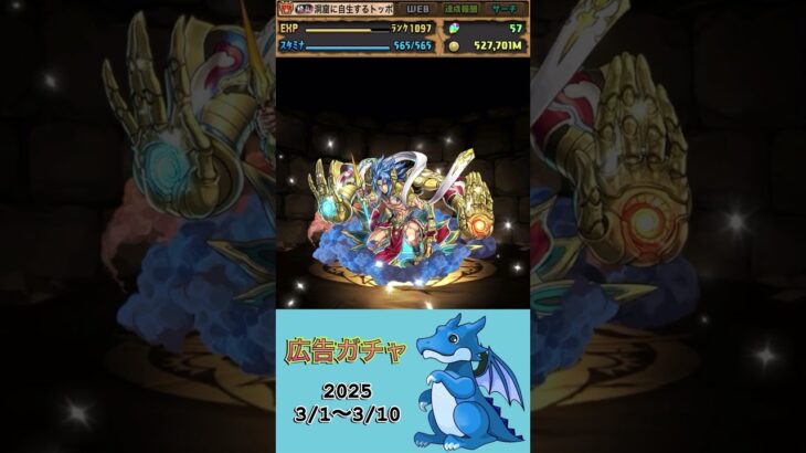 [パズドラ]  広告ガチャ　2025/3/1〜3/10