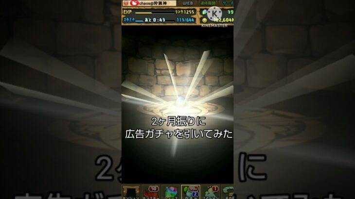 【パズドラ】2ヶ月振りに広告ガチャを引いてみた#shorts