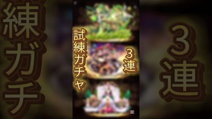 【パズドラ】試練進化クエスト報酬の各シリーズのガチャ無料3連の結果は！？#shortsvideo #shortsを上げてます