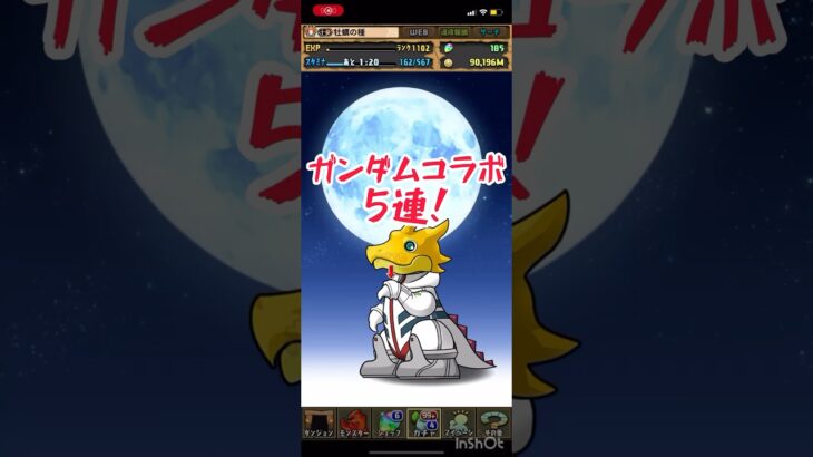 【パズドラ】ガンダムコラボ5連！#パズドラ #shorts #四国めたん