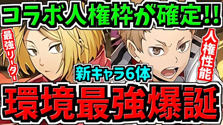 【環境最強】めっちゃ強い！コラボ人権枠が確定！6体ハイキューコラボ性能解説！火属性の編成がめっちゃ強くなります！【パズドラ】