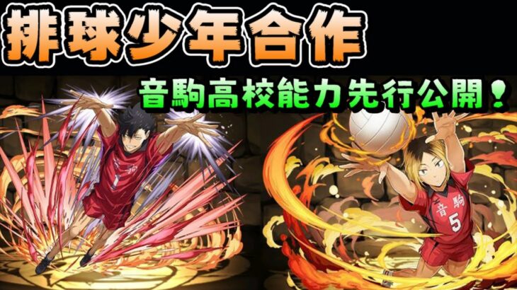 【パズドラ】音駒高校登場！排球少年合作，音駒球員能力先行公開。【PAD/龍族拼圖】