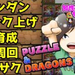 【縦型配信】数年ぶりにランダン再開！！ボーダー行ったらランク上げとか育成とか【#パズドラ】