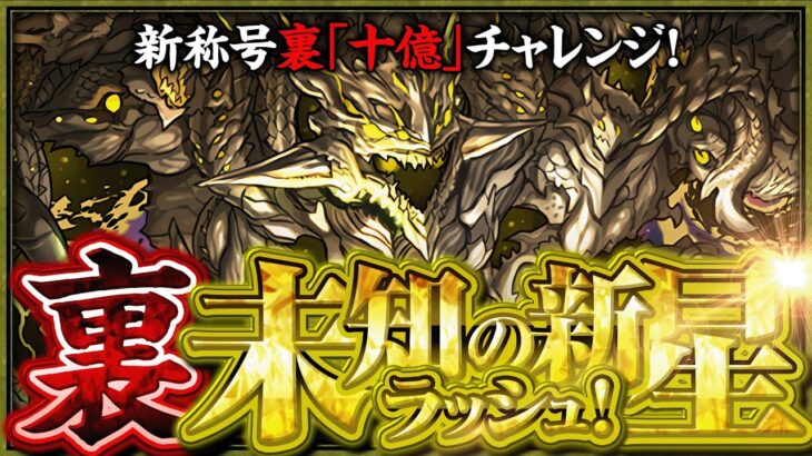 【新称号十億(絢爛)】裏十億初見チャレンジ！！【パズドラ】