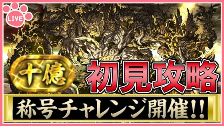 【パズドラ】新称号チャレンジ開催！十億チャレンジ(裏)に初見で挑む！【雑談】