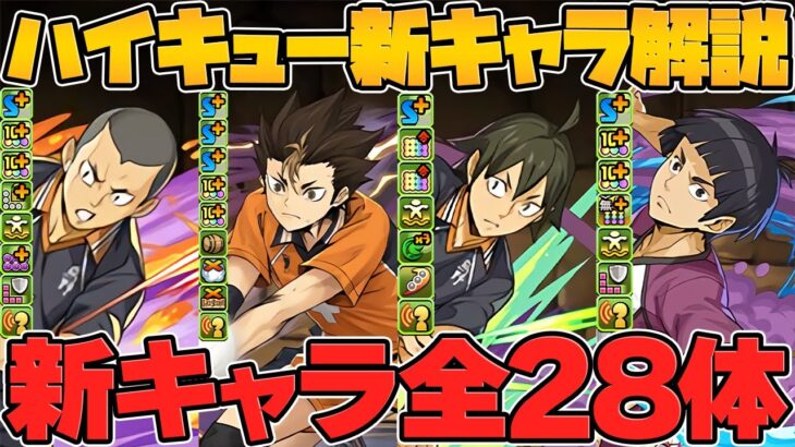 ハイキューコラボに更に４体の新キャラ追加決定！魔法石は〇個で確定です！！！！！！！！！！【パズドラ】