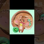 ミラティブやパズドラ界🧩🐉のアイドル でお友達 の シマリスくん への お誕生日プレゼント1月31日だよぉう🐿〰️🥚パズルとっても綺麗🪄に組む最強‼️💪✨ #ゲーム #イラスト #癒し
