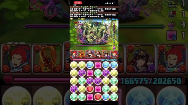 ラヴィッシュ降臨2分ヴェルフ全部位破壊周回【パズドラ】#パズドラ #ヴェルフ #ラビッシュ降臨 #ラヴィッシュ