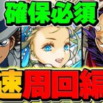 【絶対に作れ】怪盗キッド降臨&鬼丸猛降臨！周回編成2パターン！代用解説も！無課金最強候補です！【パズドラ】