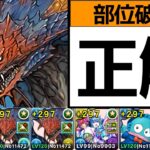 【ラヴィッシュ降臨】2分52秒の簡易ネロミェール編成！バレノアより速く周回できるぞ！【パズドラ】