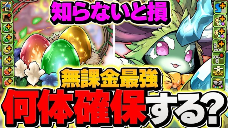 【30周】ラヴィッシュ”武器”のランダムスキル解説！確保数解説も！これ見れば全てが分かります！【パズドラ】