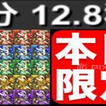 【難民必見】魔法石＋ピィ＆宝玉を合計400体GET！神イベだから絶対やろう！【パズドラ】