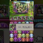 猫 VS ラヴィッシュ　#パズドラ #バステト #shorts
