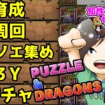 【#縦型配信】コナン/YAIBAダンジョン消化したり。あとは3Yドララやったり8サク【#パズドラ】