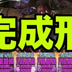 俺の完成した『自軍1体ロゼッタ最強編成』見てくれよ　木星チャレンジ【パズドラ】