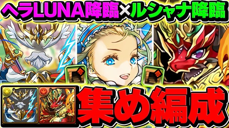 【12億周回したい人向け】トーエン+ゼウスアバたまを今すぐゲット！周回編成2パターン&代用解説付き！ルシャナ降臨&神々の聖跡 ヘラLUNA降臨【パズドラ】