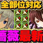 【編成難易度低下】木星チャレンジを全部位破壊14分攻略！ロゼッタ×無効貫通型が最強でした！【パズドラ】