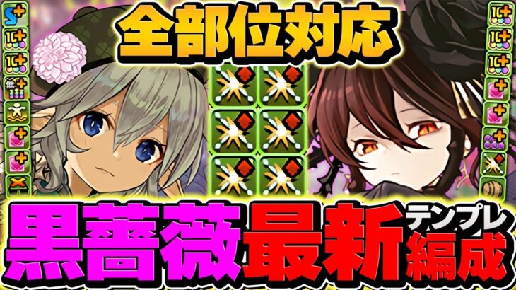【編成難易度低下】木星チャレンジを全部位破壊14分攻略！ロゼッタ×無効貫通型が最強でした！【パズドラ】