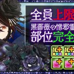 【最強】部位全破壊で15分攻略！ぶっ壊れ火力のロゼッタで木星チャレンジを爆速攻略！【パズドラ】