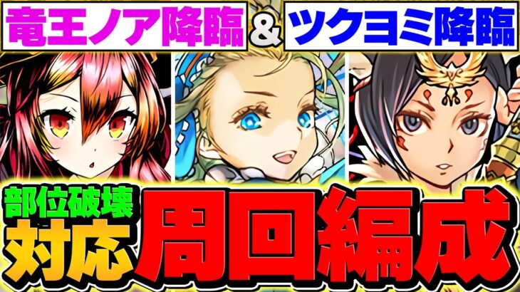 【ガンコラ】竜王ノア降臨&ツクヨミ降臨2パターン周回編成解説！最強無課金を確保！代用解説も！【パズドラ】