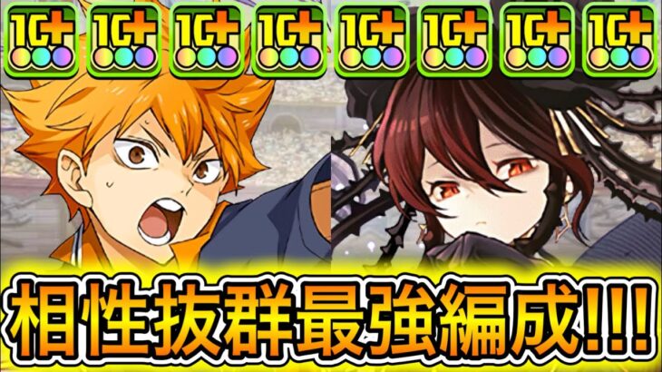【最強】『ロゼッタ』の登場で『烏野編成』がさらに最強に！？ ぶっ壊れすぎて『裏十億』が余裕すぎる！！！！ 【パズドラ 星を紡ぐ精霊 イベント 2025 黒薔薇】