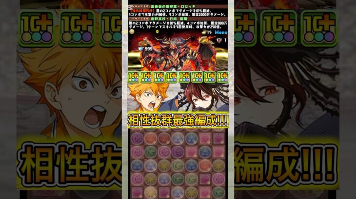 【最強】『ロゼッタ』×『烏野』編成がぶっ壊れすぎる！！！！ 【パズドラ 星を紡ぐ精霊 イベント 2025】 #パズドラ #shorts