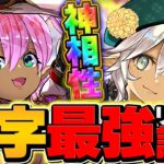 【2040億火力】引けてたら超ラッキー！メリル×フィリスで木星攻略！実は大当たりキャラです！【パズドラ】