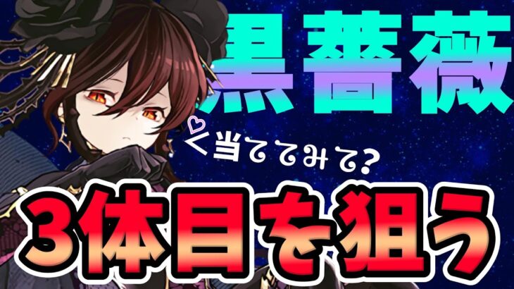 【星を紡ぐ精霊フェス】黒薔薇3体目ほしいンゴ！！【パズドラ】