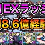 【パズドラ】時速40億以上経験値！1周8.6億経験値！5月の決戦！EXラッシュ！EXチャレンジ！1周11分台！サレーネ無効編成で安定周回！【概要欄に立ち回りなど記載】