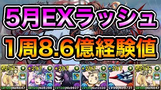 【パズドラ】時速40億以上経験値！1周8.6億経験値！5月の決戦！EXラッシュ！EXチャレンジ！1周11分台！サレーネ無効編成で安定周回！【概要欄に立ち回りなど記載】