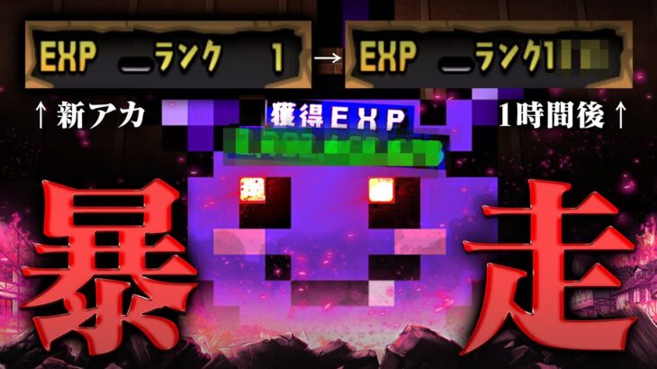 悲報！今のパズドラ新アカ作った瞬間にランク4桁超えwwwwwwwwww