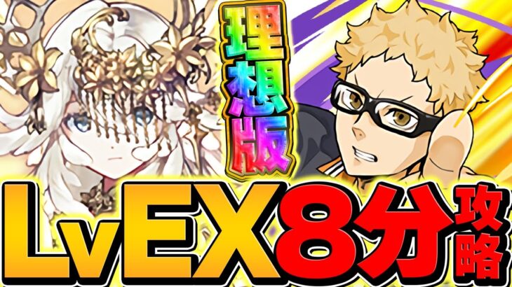 【8分台】EXチャレンジをヘイスト×6体で攻略！これは実質周回編成です！代用解説も！【パズドラ】