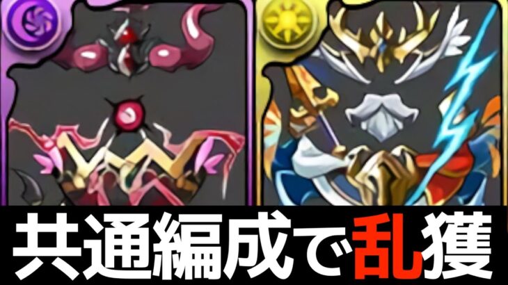 【共通】転生GIGA、LUNAのダンボ21編成！ゼウスアバたま、ヘラアバたまをドロップ率43%で乱獲じゃあああああ【パズドラ】