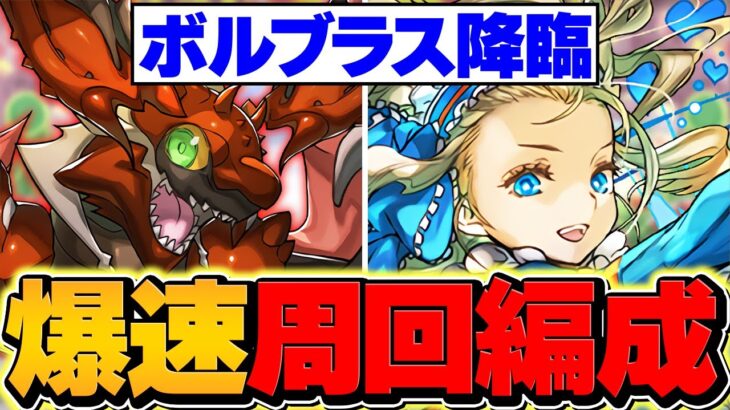 【結論編成】ボルブラス降臨をノアでずらし周回！これ組めばOKです！代用&立ち回り解説【パズドラ】