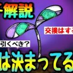 え?! ロゼッタの入手迷ってる人いるってまじ?! 答えは〇〇です。【パズドラ】