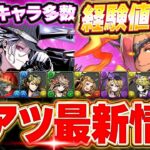 ランク上げ最高効率ダンジョン実装！？未発表の最強キャラも存在！！ガンコラの内容が想像以上に凄すぎた！！【ガンホーコラボ】【パズドラ実況】＃パズドラ